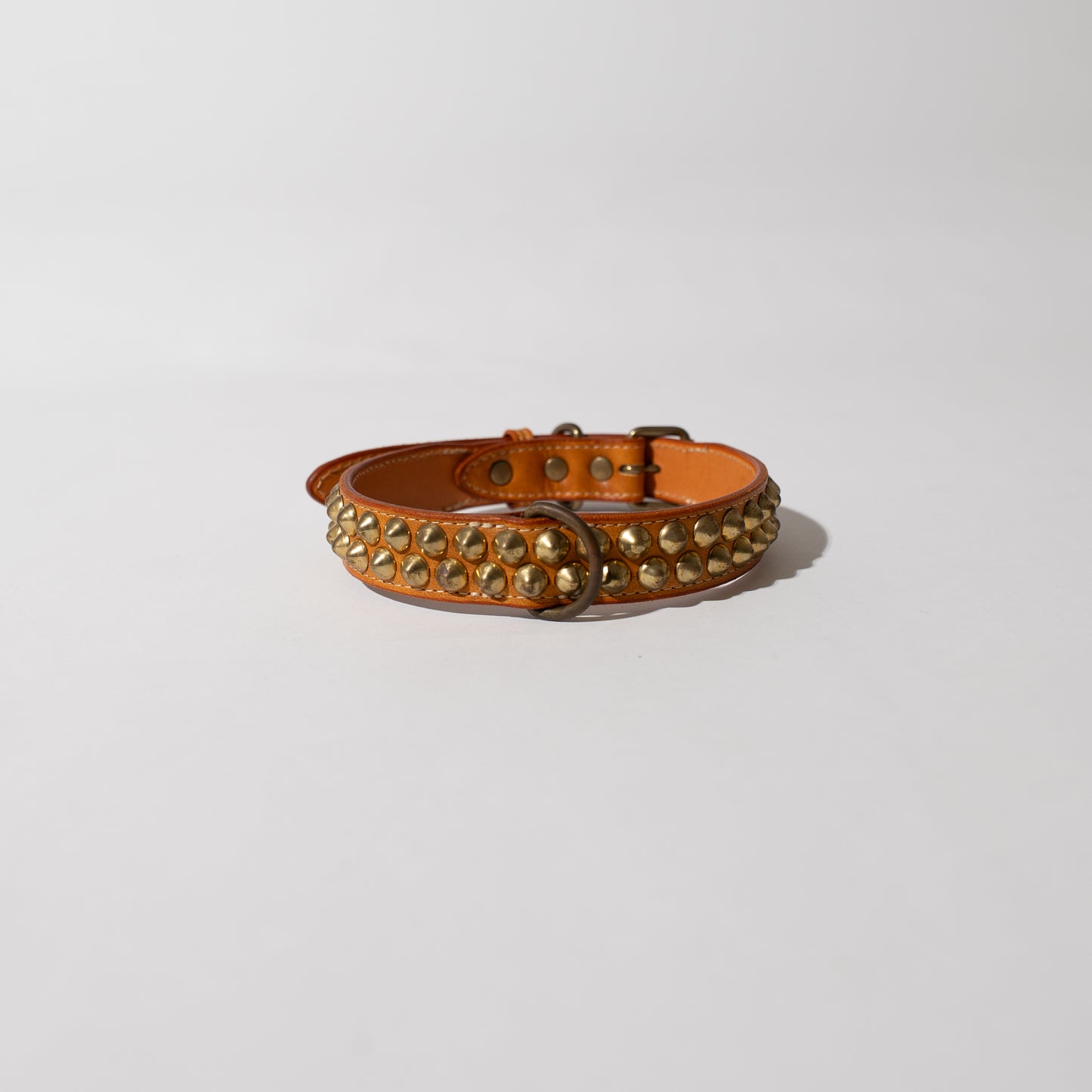DOG LEASH AND COLLAR SET
